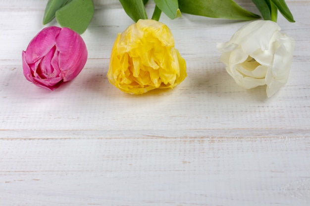 Natuurlijke tulpen op een witte houten achtergrond.