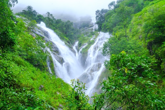 Natuurlijke waterval