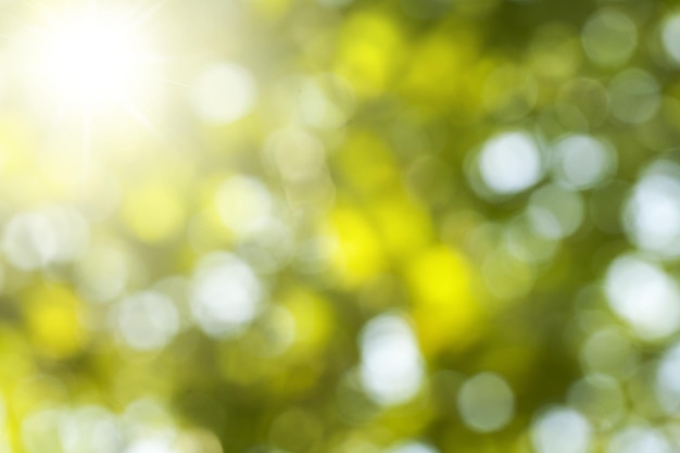 Natuurlijke wazig bokeh achtergrond van blad en boom.