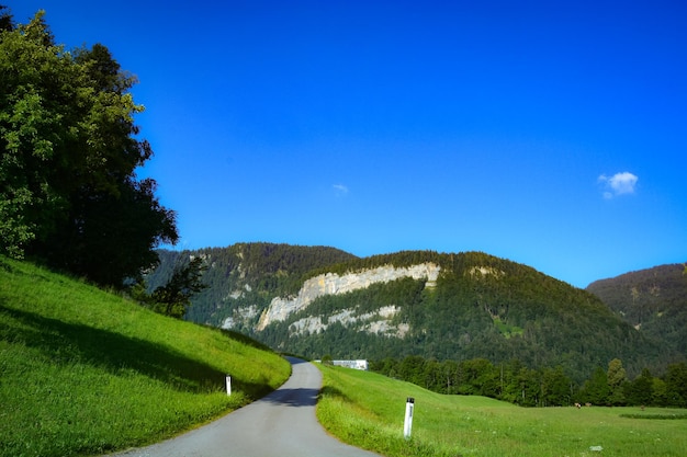 Natuurpad tussen de bergen in Zwitserland