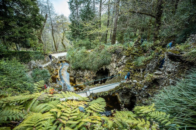 Natuurpark sintracascais regio sintra lissabon portugal