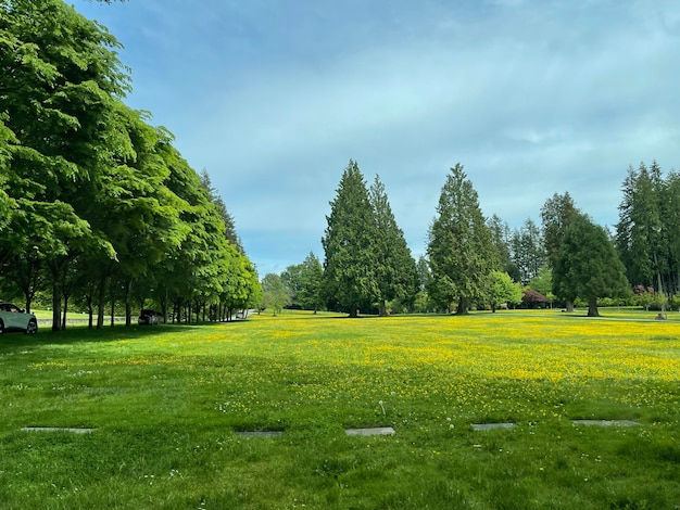 Foto natuurpark