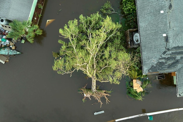 Natuurramp en de gevolgen Orkaan Ian overstroomde huis en omgevallen boom in de woonwijk van Florida
