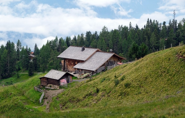 Natuurweide in de bergen van de Oostenrijkse Alpen