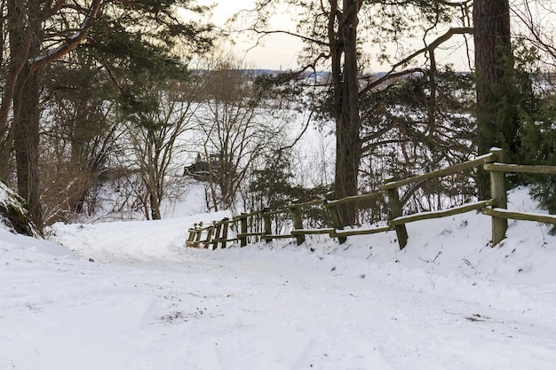 Natuurzicht in de winter met groene bomen, sneeuw en houten balustrades