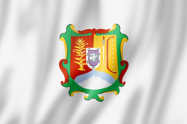 Nayarit state flag, Mexico waving banner collection. 3D illustration