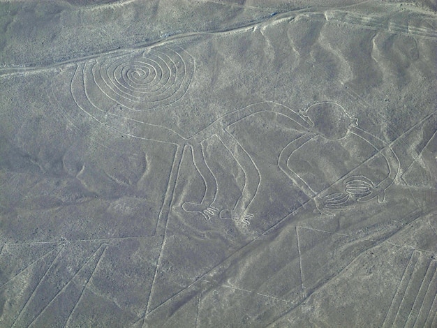 The Nazca lines in Peru South America