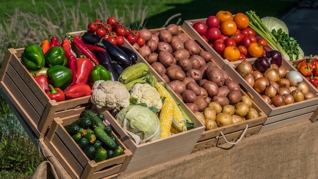 neat stall with seasonal vegetables in wooden crates