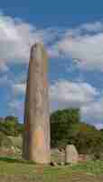 Photo necropoli di is forrus e menhir di monte corru tundu in villa santantonio oristano