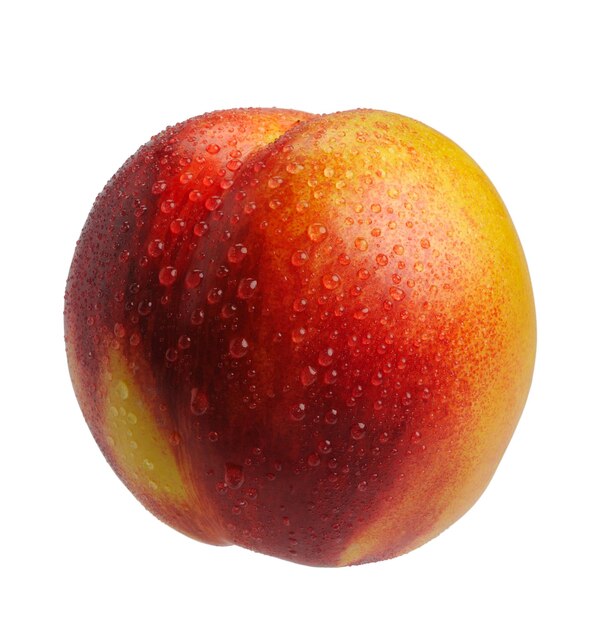 Photo nectarine isolated