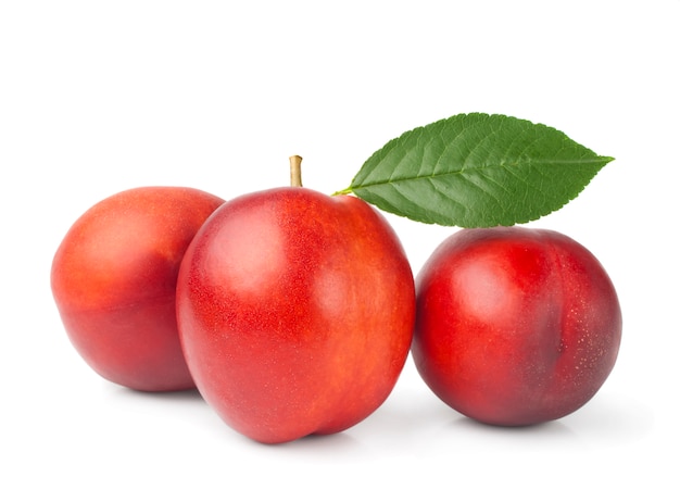 Nectarines on a white background