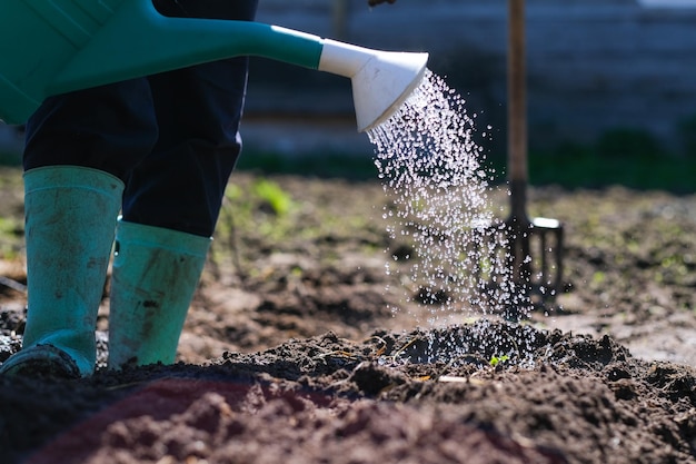 Nederig gedeelte van de man die water op het veld besprinkt