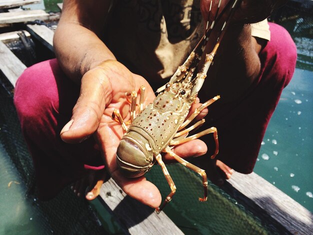 Foto nederig gedeelte van een man die een kreeft vasthoudt op de pier