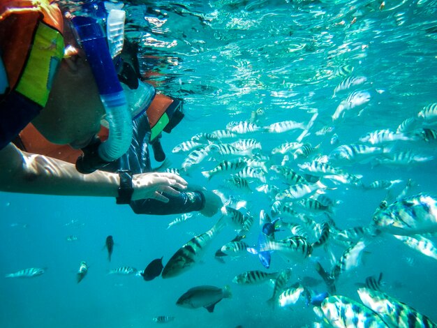 Foto nederig gedeelte van een man die met vissen in de oceaan zwemt