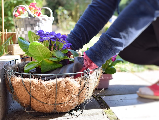 Nederig gedeelte van een persoon die bloeiende planten in de achtertuin plant