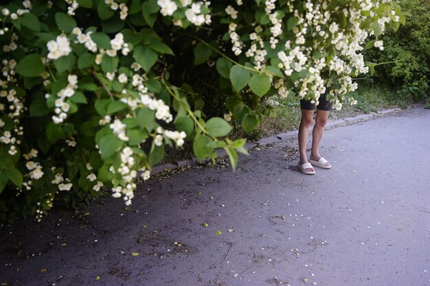 Foto nederig gedeelte van een vrouw die bij bloeiende planten staat