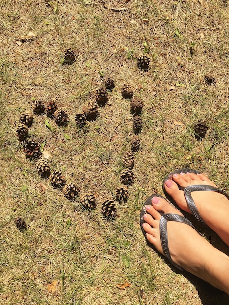 Foto nederig gedeelte van een vrouw die bij dennenkegels staat, gerangschikt als hartvorm op gras