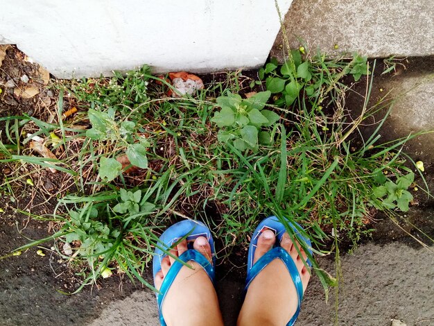 Nederig gedeelte van een vrouw die een flip-flop draagt en op de weg staat