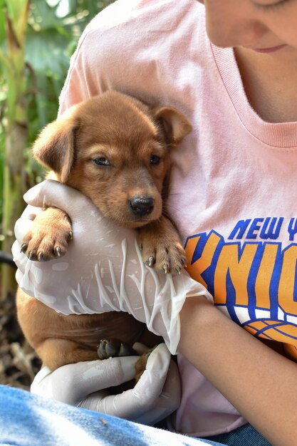 Foto nederig gedeelte van een vrouw die een puppy vasthoudt