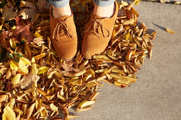 Nederig gedeelte van een vrouw die op herfstbladeren staat