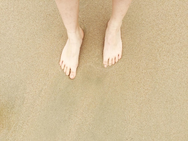 Nederig gedeelte van een vrouw die op het strand staat