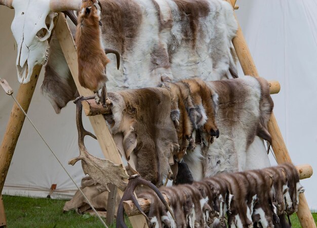 Foto nederig gedeelte van paarden ophangen