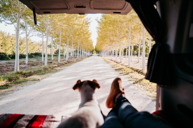 Foto nederig gedeelte van persoon met hond op de weg