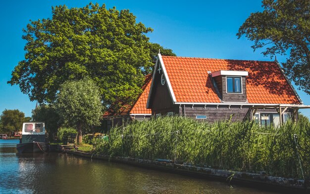 Nederlands landschap in de zomer