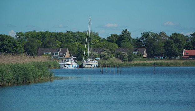 Nederlands landschap in de zomer