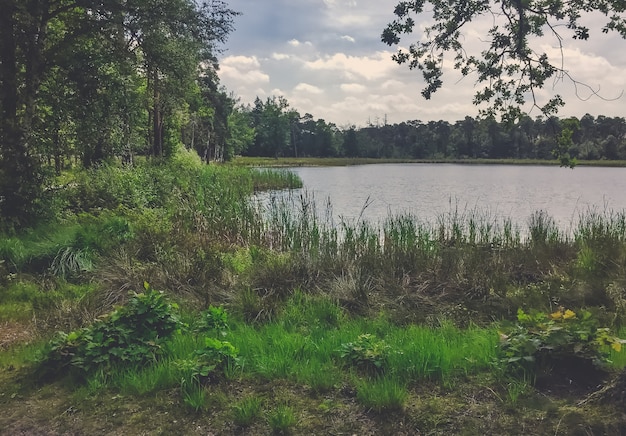 Nederlandse natuur