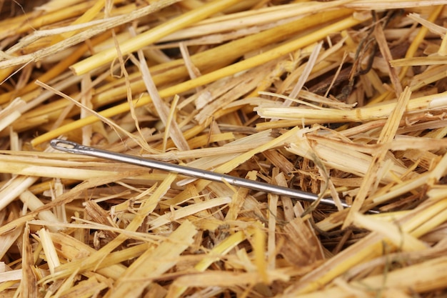 Photo needle in a haystack closeup