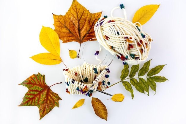 Фото Рукоделие. клубок бежевой шерстяной пряжи и вязальных спиц. белый фон с осенними листьями.