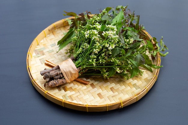 Photo neem leaves and flowers