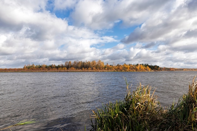 Riva del fiume neman con alberi decidui autunnali