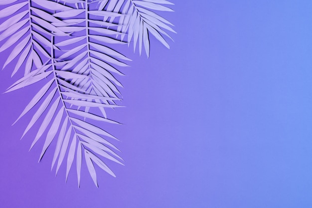 Photo neon colored palm leaves