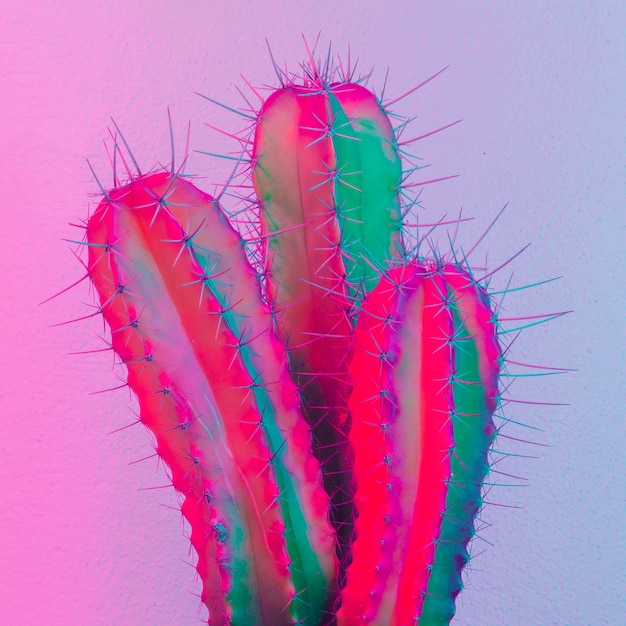 Neon creatieve cactus. Cactus minimaal ontwerp. Cactus mode idee