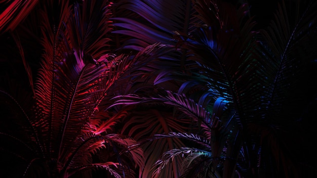 Neon glowing palm leaves tropical dark background Blue purple color Glowing linear volumetric neon tree 3d render