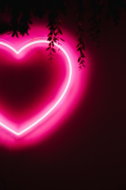 Neon pink heart on black wall