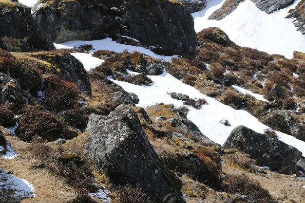 Foto nepalees landschap