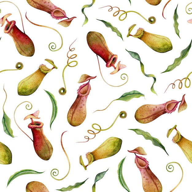 Nepenthes carnivorous plant watercolor seamless pattern on white Tropical exotic flora pitcher liana