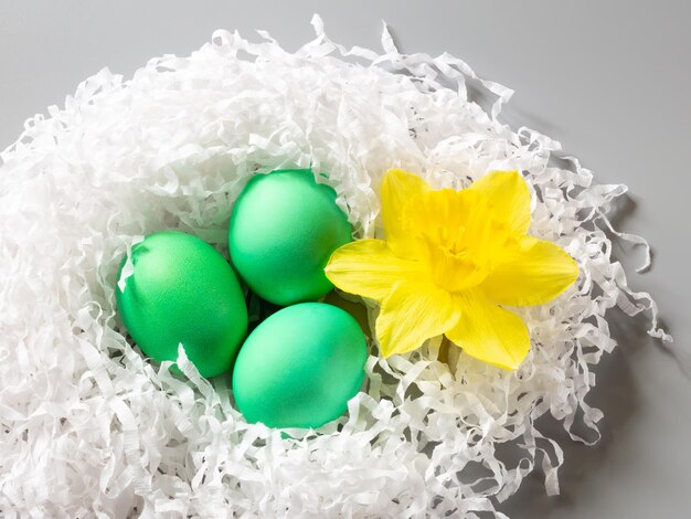 Nest met gekleurde paaseieren en gele narcisbloem