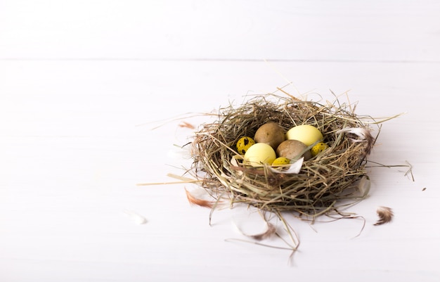 Nest met gekleurde paaseieren op witte houten tafel