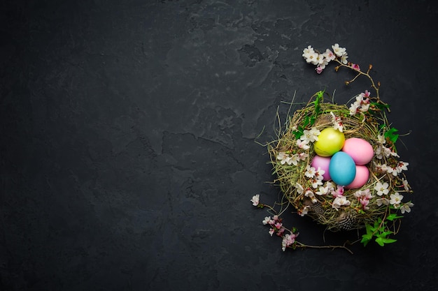 Nest met paaseieren en bloeiende takken op zwarte achtergrond