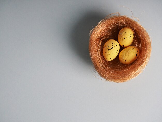 Nest with colored easter eggs on grey