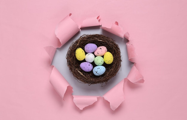 Nest with colored Easter eggs through the ripped hole of pink paper