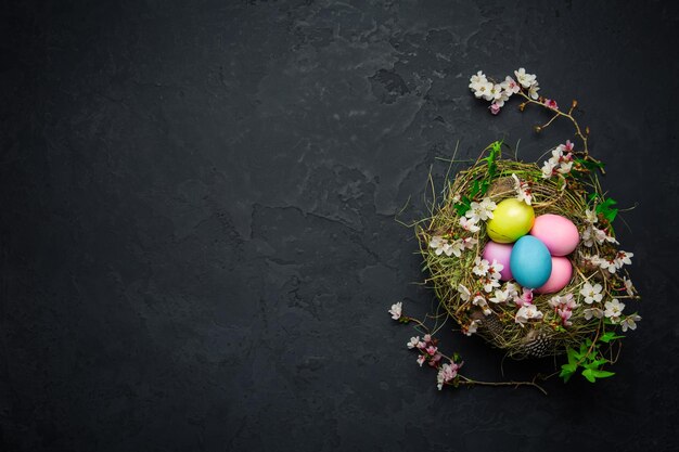 Nest with Easter eggs and blooming branches on black background