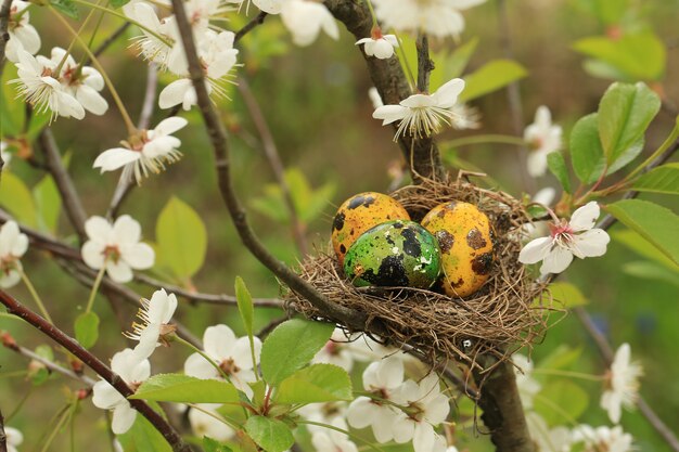 Nest with Easter eggs on a flowering cherry tree very soft selective focus