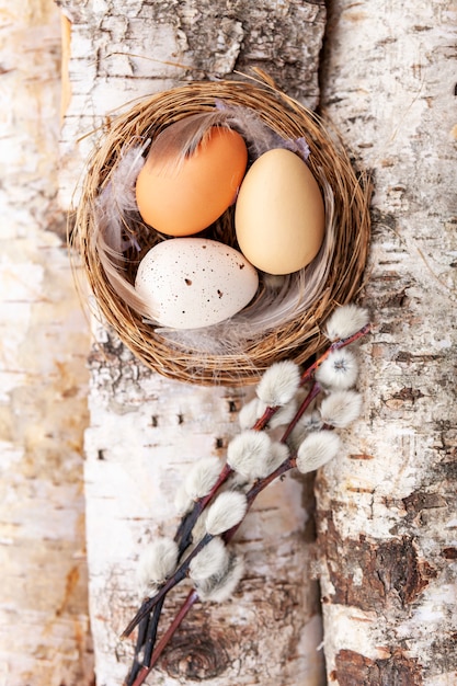 Nest with eggs and willow on birch wooden surface