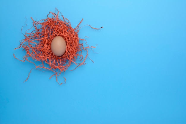 Nest with one brown chicken egg on colorful blue background, copy space for text, top view