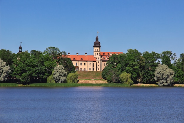 Nesvizhkasteel in Wit-Rusland land